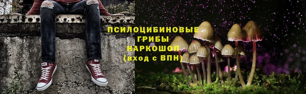 винт Армянск