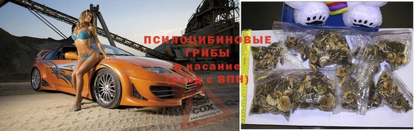 МДПВ Арсеньев