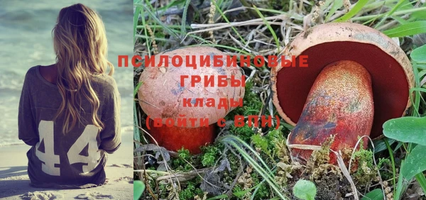mix Аркадак