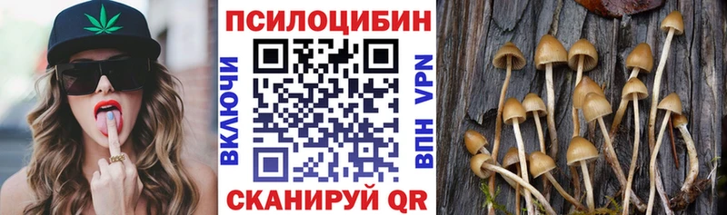 Псилоцибиновые грибы мухоморы  где можно купить   OMG зеркало  Камешково 